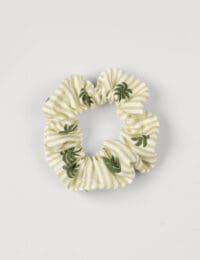 کش مو درخت نخل